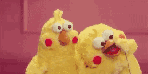timg.gif